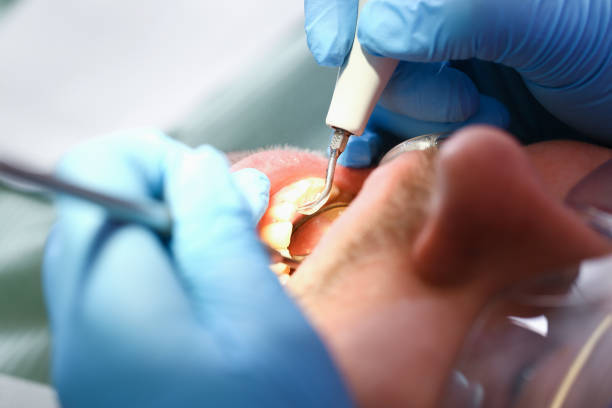 Best Pediatric Emergency Dentist in Palos Heights, IL
